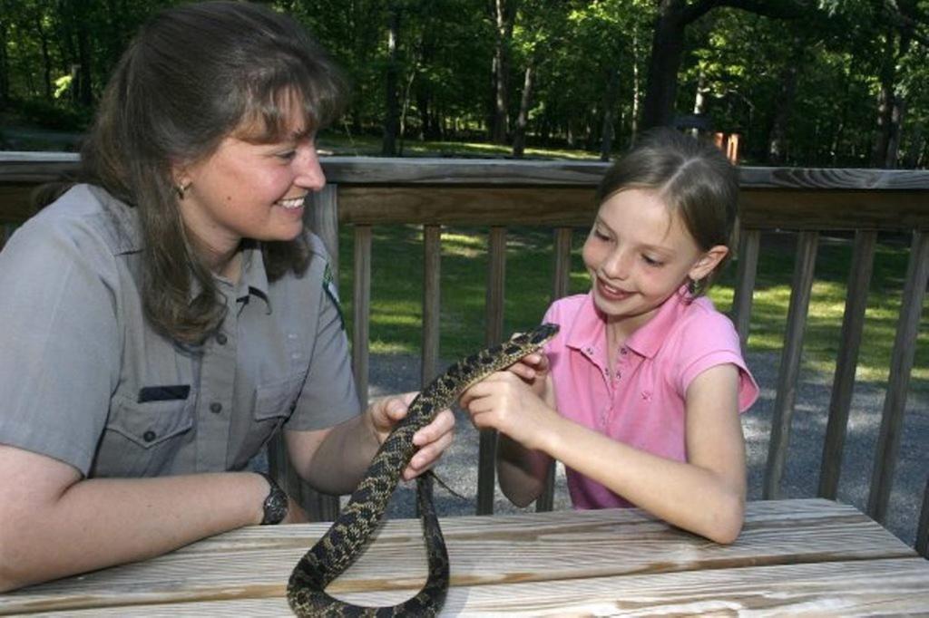 Cacapon State Park Lodge Berkeley Springs Bagian luar foto